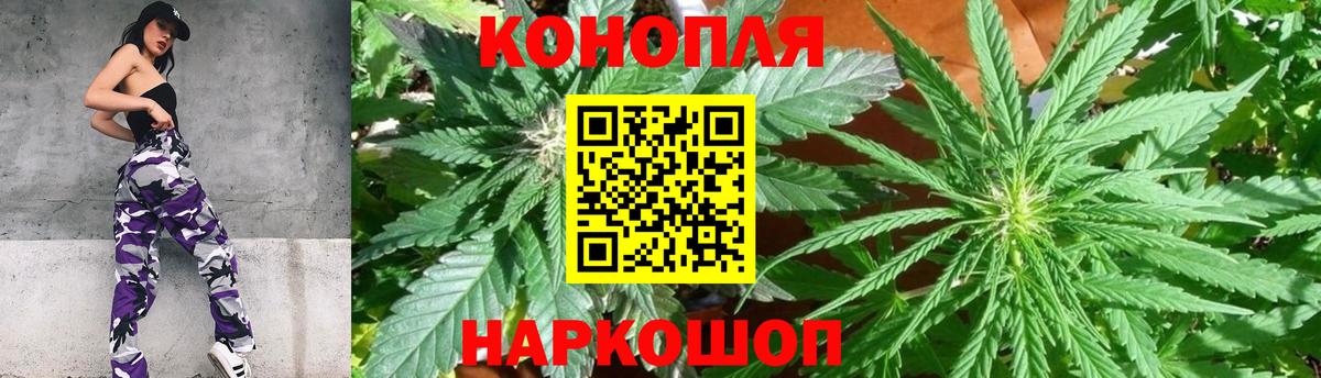 Канабис план Холмск